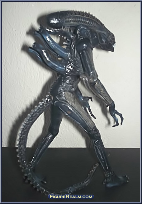 Classic Alien Warrior - Aliens - Basic Series - Neca Action Figure