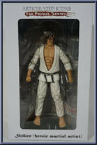 Shoken (Heroic Martial Artist) Action Figure