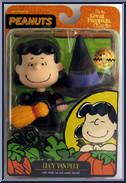 Lucy Van Pelt (Black Hat, Witches Broom) Action Figure