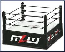 Ring Playset Action Figure