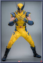 Wolverine from Marvel - Deadpool & Wolverine manufactured by Hot Toys [Loose]