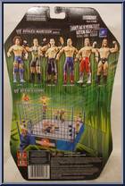 Triple H from WWE Ruthless Aggression - Series 21 manufactured by Jakks Pacific [Back]