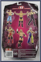 Triple H from WWE Ruthless Aggression - Series 43 manufactured by Jakks Pacific [Back]