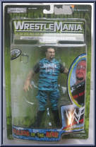Buh Buh Ray from WWF Titan Tron Live - Rulers of the Ring 1 manufactured by Jakks Pacific [Front]