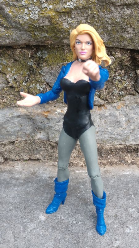 Black Canary (DC Direct) Custom Action Figure