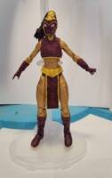 Anita Fite / Empress (Young Justice) (Marvel Legends) Custom Action Figure