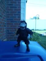 Anthros:Tomas Son Claire cat burglar specialty stealth (animal type Pygmy Hippo) (Anthros) Custom Action Figure