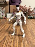 Queen - Royal FLush Gang (Batman Beyond) Custom Action Figure