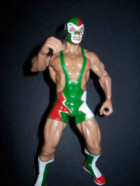 Dr. Wagner (Wrestling) Custom Action Figure