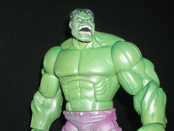 Raging Hulk!!! (Marvel Legends) Custom Action Figure