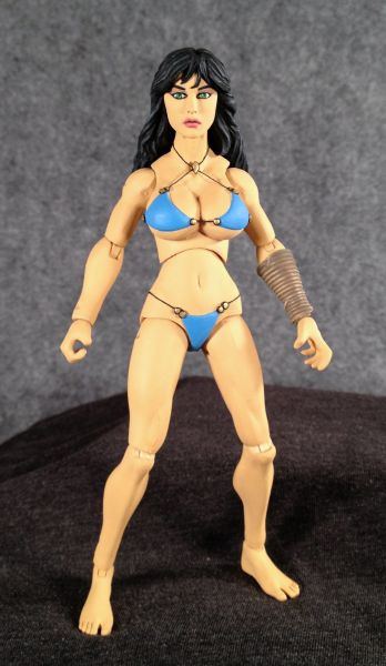 Princess Teegra Of Fire And Ice Legendary Comic Book Heroes Custom Action Figure