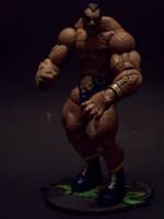 Darun Mister (Street Fighter) Custom Action Figure