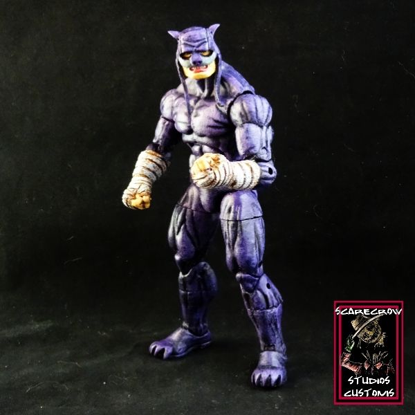 Wildcat (DC Universe) Custom Action Figure