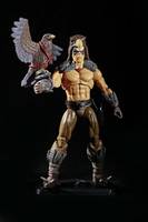 Raptor (G.I. Joe) Custom Action Figure