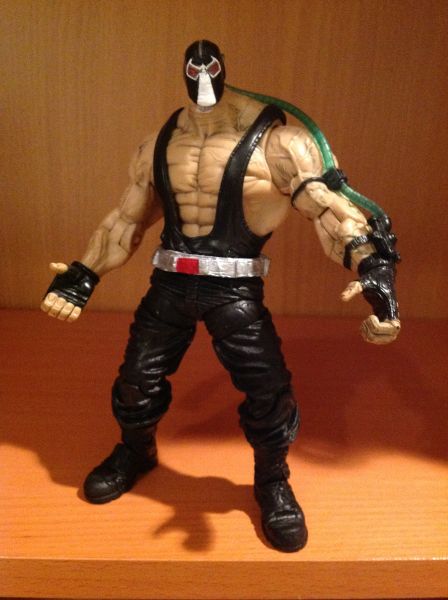 Bane (DC Universe) Custom Action Figure