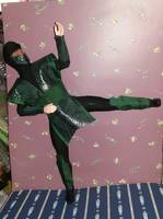 Reptile Mortap Kombat (Mortal Kombat) Custom Action Figure