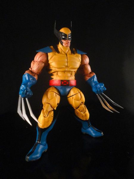 Wolverine (Crazy Buff) (Marvel Legends) Custom Action Figure