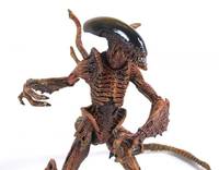 Waarrior Alien (Aliens) Custom Action Figure