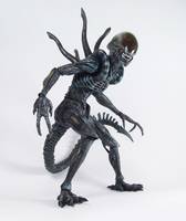 HOT TOYS AVP Alien 12" Figure Repaint (Alien vs Predator) Custom Action Figure