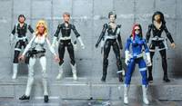 Women of SHIELD (Marvel Universe) Custom Action Figure
