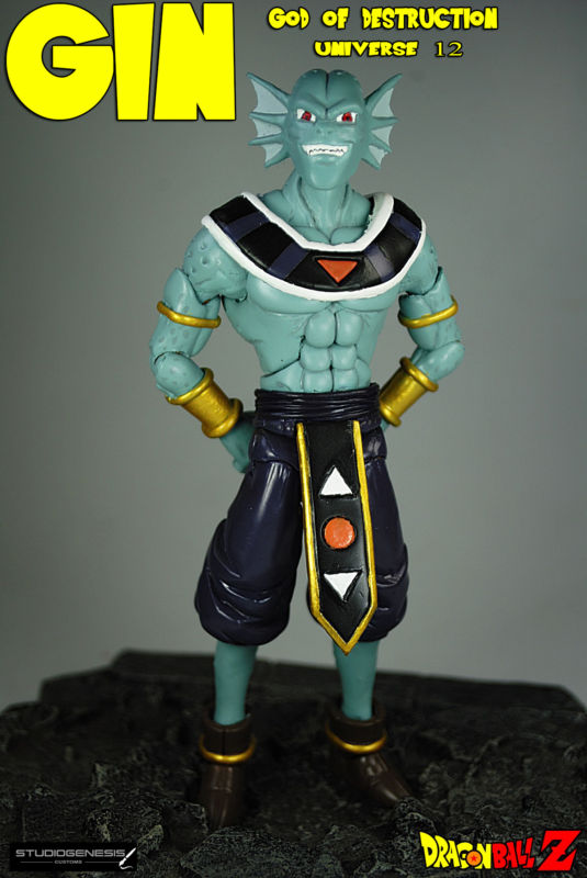 Gene God of Destruction Universe 12 (Dragonball Z) Custom Action Figure
