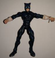 Wildcat (Total Justice) Custom Action Figure